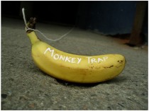 monkey_trap_alburt