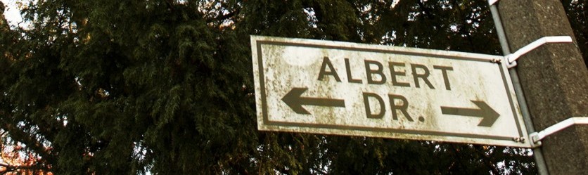 Albert Drive Project