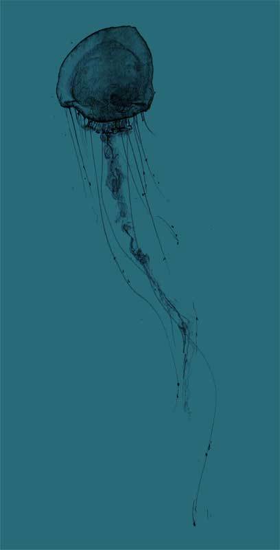 Jellyfish by Daniel Seex